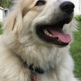 Entry image for Winston 