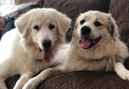 Entry image for Lilah and Panda. Clicking this image will show a larger photo