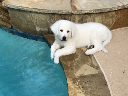 Entry image for Lilah. Clicking this image will show a larger photo