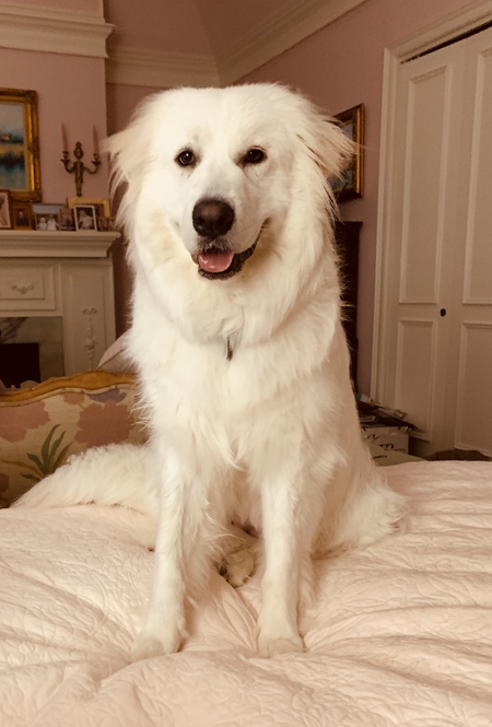 Entry image for Livvy. Clicking this image will show a larger photo
