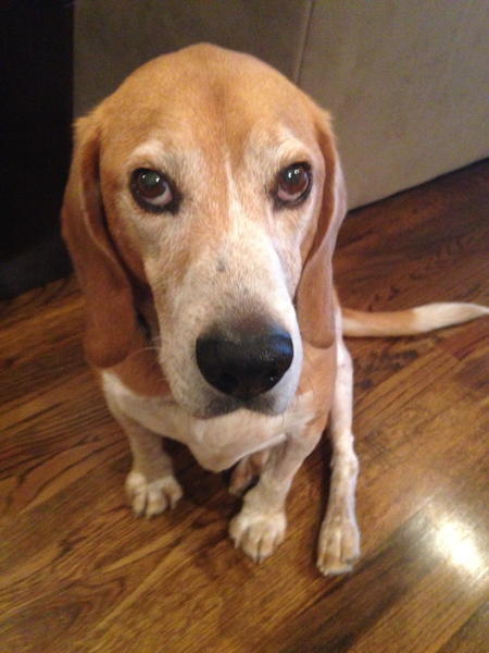 Cooper 