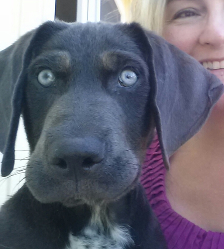 Balou