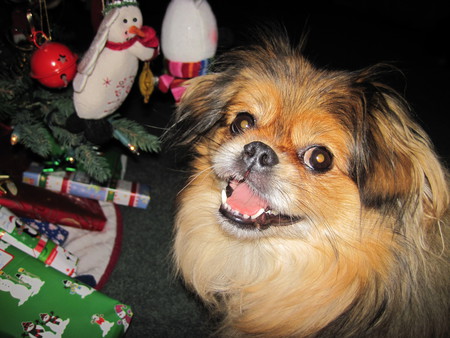 Abby