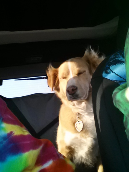 Tucker