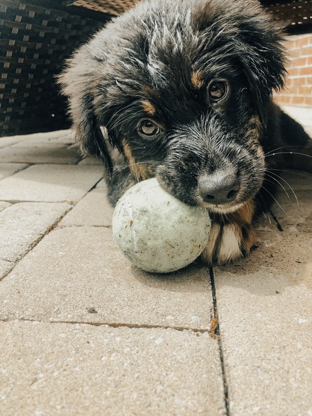 Oakley