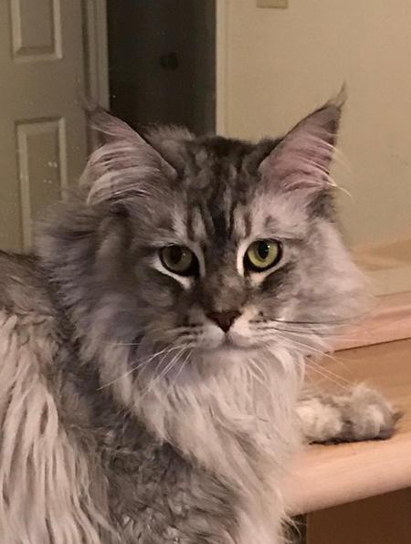 Sophie