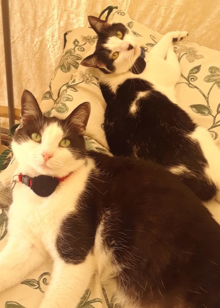 Sassy and Sherry