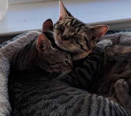 Minnie and Daisy