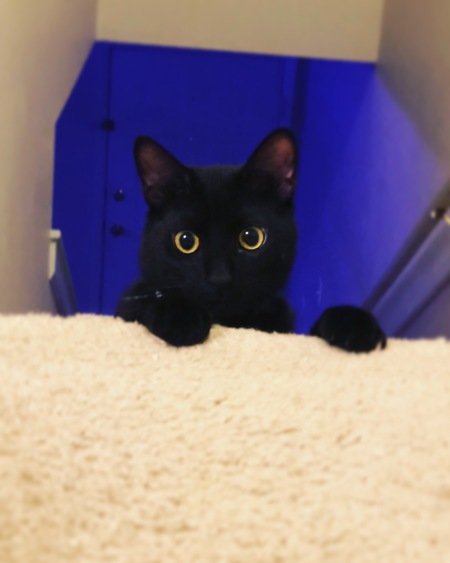 Salem