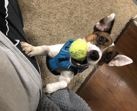 Zoe