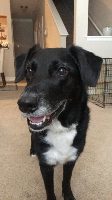 Wrigley Asher Greulich 