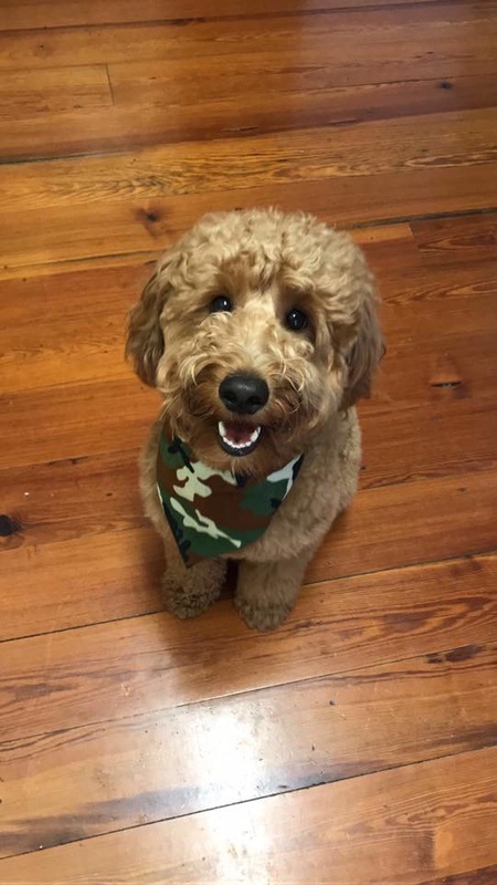 Beau