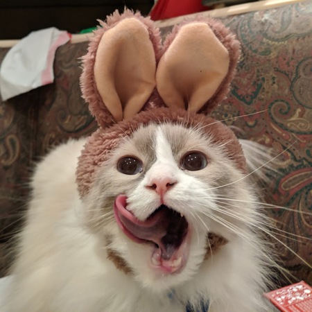 Yuki