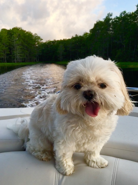 Lillie Mae