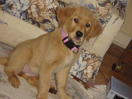 Mollie
