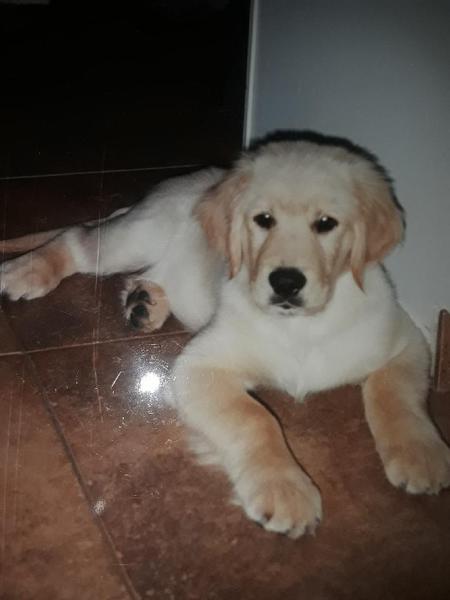 Henry