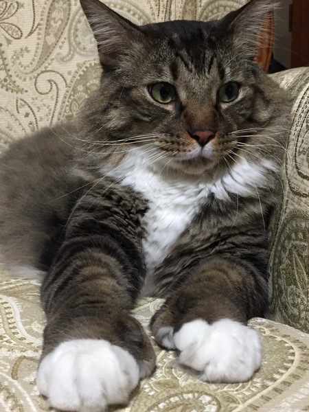 Oliver
