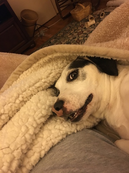 Duncan