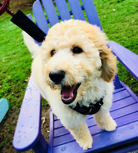 Ellie
