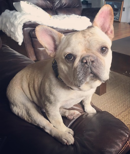 Paco
