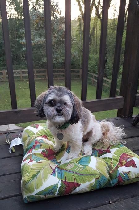 Lulu