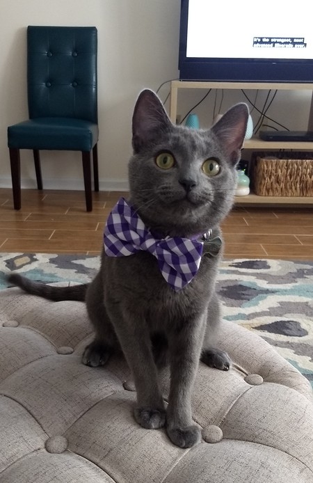 Boris
