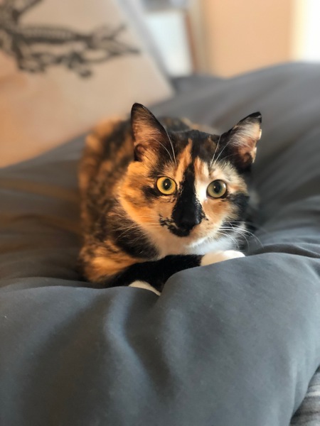 Avery 