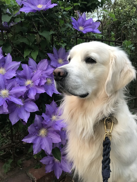 Charlie 