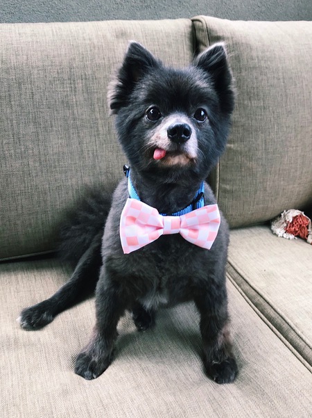Franklin
