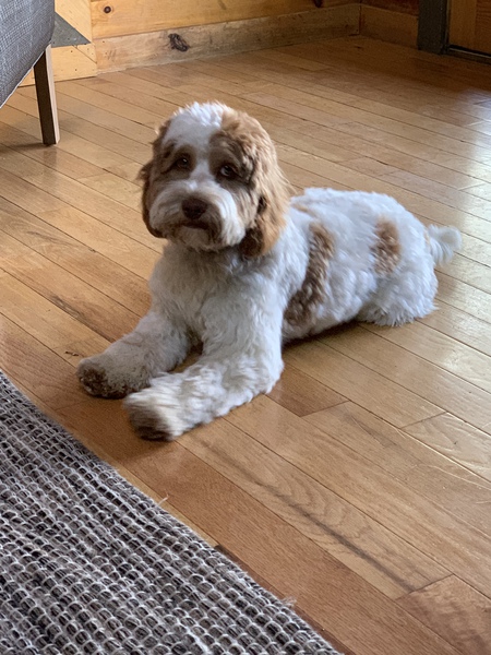 Chloe