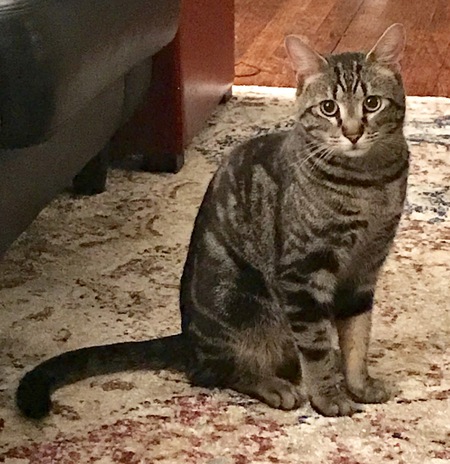 Linus