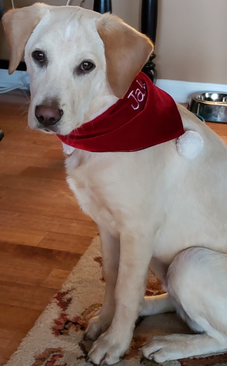 Jake