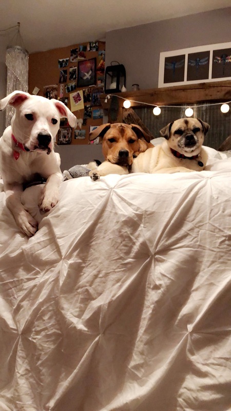 Tilly,Kaia, & Ruby 