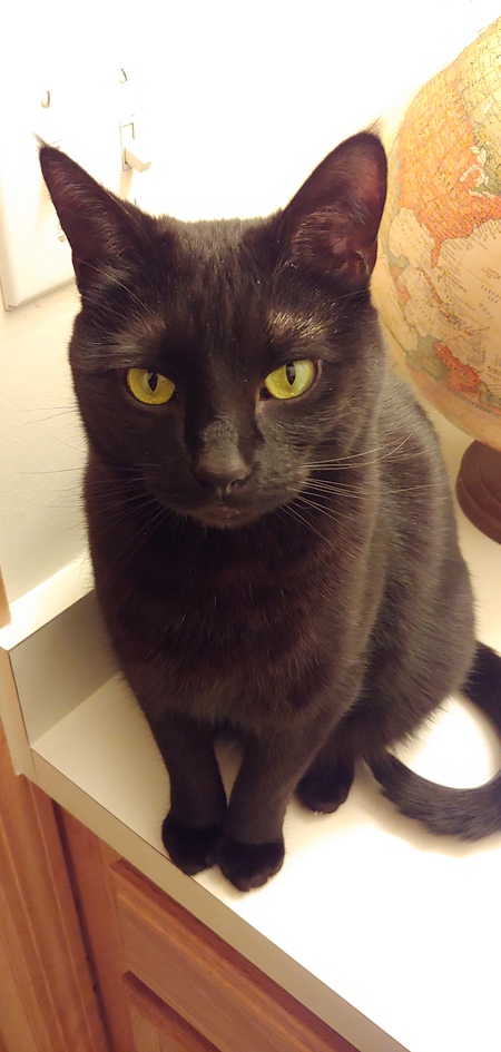 Penelope