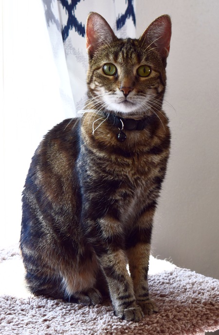 Wilma 