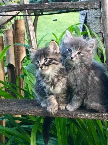 SheRa & Floyd