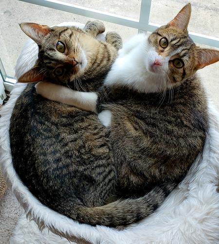 Millie and Grace 