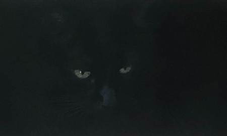 Roxy Music Eyes