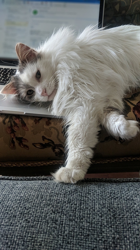 Zuko