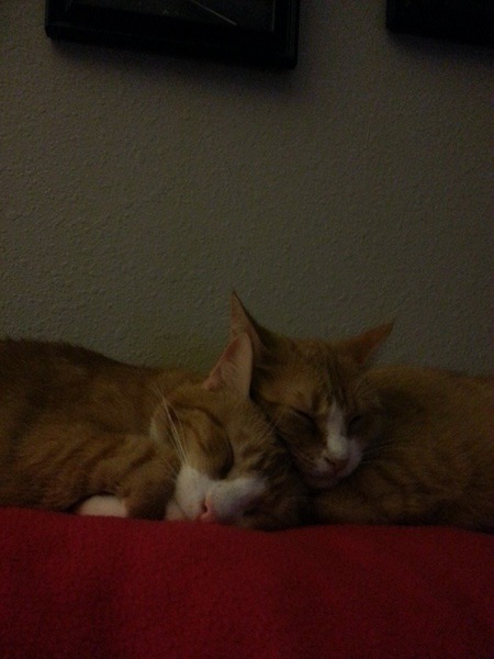Bob & Ginger