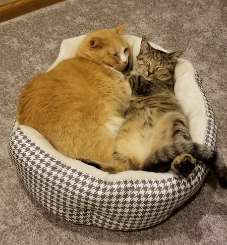 Ethel and Mabel
