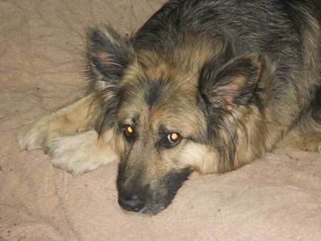 Charlie