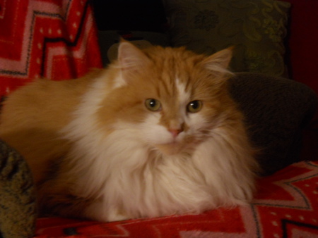 Rusty