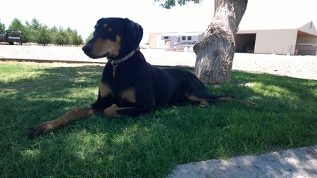 Abby