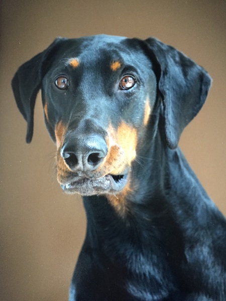 Mulligan