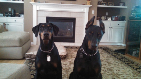 Fritz & Samson