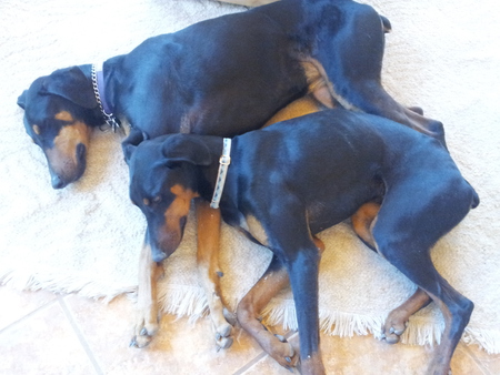 Sascha & Zee