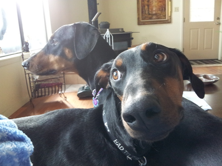 Zee & Sascha