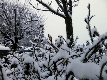 Urban Bus Stop Winter