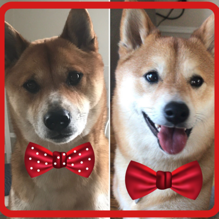 Kipper and Tormund
